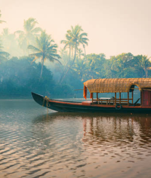 Travel to Kochi with us