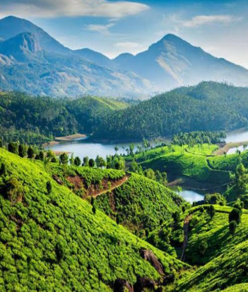 Travel to Ooty with us